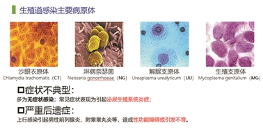 仁度生物“追踪”女性健康第一“杀手”的底气：10亿人潜在市场+领先的技术